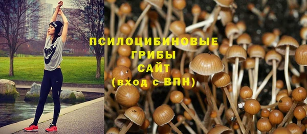 альфа пвп Киреевск